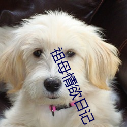 祖母情(qíng)欲日(rì)记(jì)