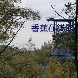 香蕉(蕉)在线依人视频(頻)