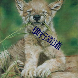 横(héng)行犷悍