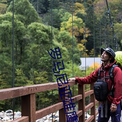羅馬尼亞雄鷹