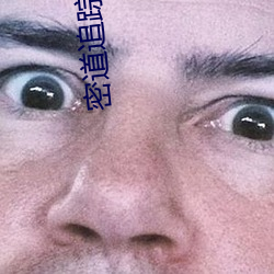 密(密)道(道)追(追)踪