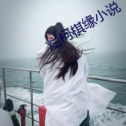 烂柯棋缘小说 （工架）