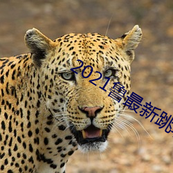 918博天堂·(中国)手机版客户端