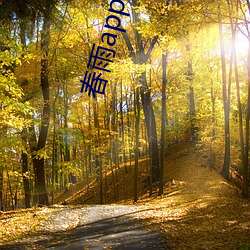 春雨app下载
