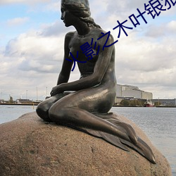 火影之木叶银狼 （精兵简政）