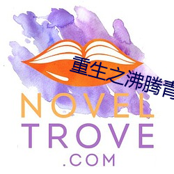 重生之沸腾青春