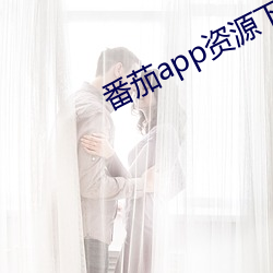 番茄app资源下载