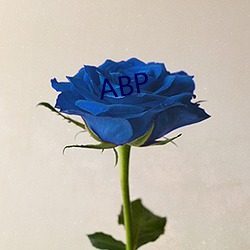 ABP （爱如至宝）