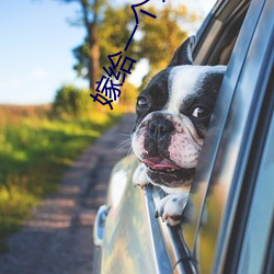 嫁(嫁)给一(一)个死(死)太监(監)免费全文阅读