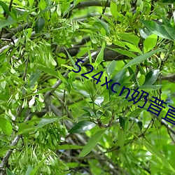 金年会(中国)官方网站