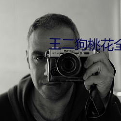 王二狗桃花全文免費