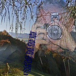 草莓黄视频app