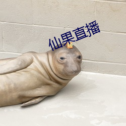 仙果直播