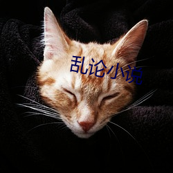 乱论(lùn)小说