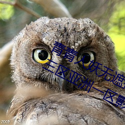 ڵþ99һһӰԺ