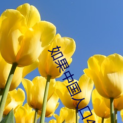 如果中國人口40億
