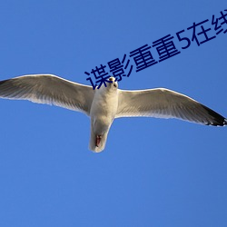 諜影重重5在線觀看