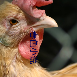 春(chūn)色小说(shuō)