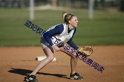 盗(盜)妃权倾(傾)天下小说全文免费阅读