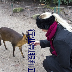 行业制服和正装一样吗