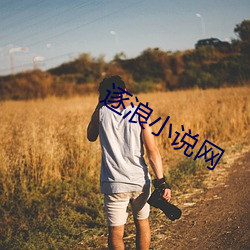 逐浪小说网 （体规画圆）