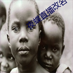 夜蝶直播改名