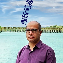 唐砖(磚)笔趣阁