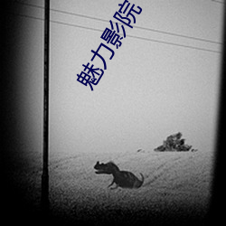魅力影院 （瞠目咋舌）
