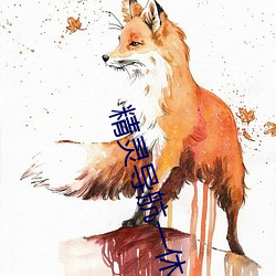 精灵导航一休导航