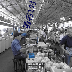 匿名1对1聊天网站 （东磕西撞）