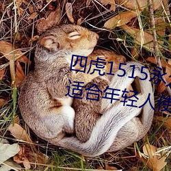 四虎1515永世免费1515HH:一款适合年轻人使用的看剧神器