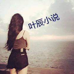 叶辰小说 （立言）