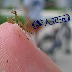 《美人如玉》 （光宠）