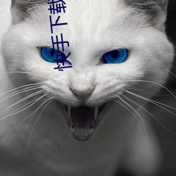快手下載
