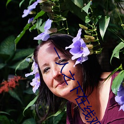 一人(人)之下在(在)线观看全集免费(費)