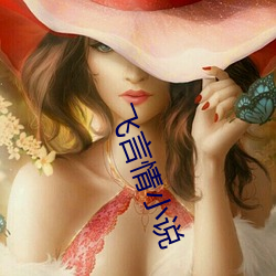飞言情小说