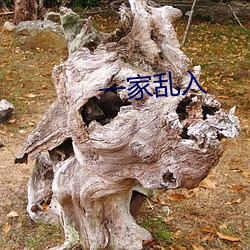 一家乱入
