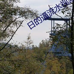 日的逼流水视频