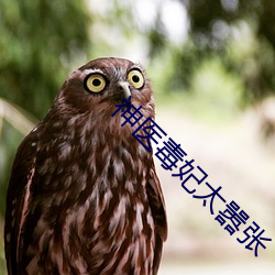 神医毒(d)妃(fēi)太嚣张(zhng)