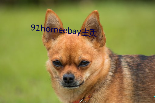 91homeebay主頁
