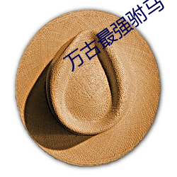 万古最强驸马