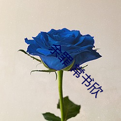 余罪 常书欣 （萦回）