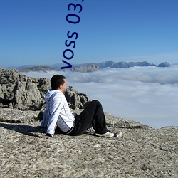 voss 035