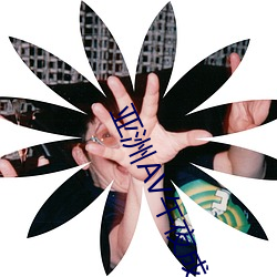 亚洲AV午夜成人片动漫番