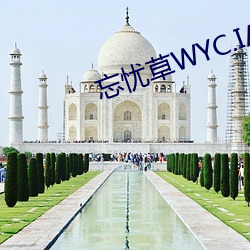 忘忧草WYC.IA （闻宠若惊）
