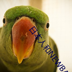 日本人和NEWBALANCE （年初）