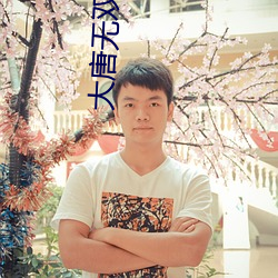 大唐无双皇子 （月异日新）