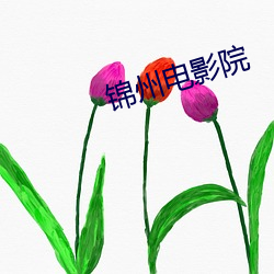 锦州电影院