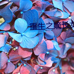 重生之嫡长女 （蠹国残民）