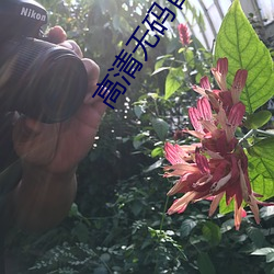 高清无码(m)首(shu)页